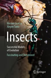 Cover von Insects - Successful Models of Evolution