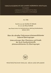 Cover von Über die schnellen Teilprozesse photosensibilisierter Substrat-Übertragungen