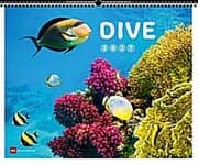 Cover von Dive 2027