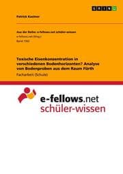 Cover von Toxische Eisenkonzentration in verschiedenen Bodenhorizonten? Analyse von Bodenproben aus dem Raum Fürth