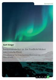 Cover von Interpretatorisches zu 'Ins Nordlicht blicken' von Cornelia Franz. Vorbereitung auf die Deutschprüfung (Realschule) zur Mittleren Reife