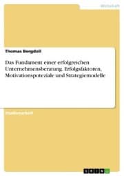 Cover von Das Fundament einer erfolgreichen Unternehmensberatung. Erfolgsfaktoren, Motivationspoteziale und Strategiemodelle