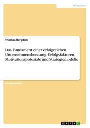 Cover von Das Fundament einer erfolgreichen Unternehmensberatung. Erfolgsfaktoren, Motivationspoteziale und Strategiemodelle