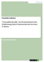 Cover von 'Vorstadtkrokodile' im Deutschunterricht. Erarbeitung durch Stationenlernen in einer 6. Klasse