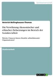 Cover von Die Versöhnung ökonomischer und ethischer Zielsetzungen im Bereich der Sozialen Arbeit