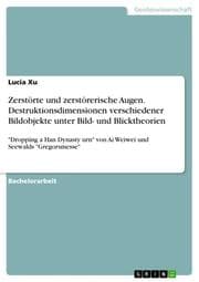 Cover von Zerstörte und zerstörerische Augen. Destruktionsdimensionen verschiedener Bildobjekte unter Bild- und Blicktheorien