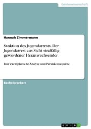 Cover von Sanktion des Jugendarrests. Der Jugendarrest aus Sicht straffällig gewordener Heranwachsender