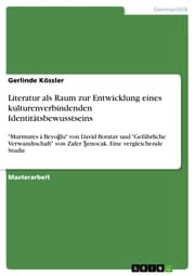 Cover von Literatur als Raum zur Entwicklung eines kulturenverbindenden Identitätsbewusstseins