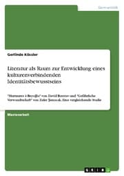 Cover von Literatur als Raum zur Entwicklung eines kulturenverbindenden Identitätsbewusstseins