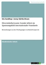 Cover von Diversitätsbewusste Soziale Arbeit im Spannungsfeld internationaler Standards