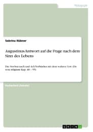 Cover von Augustinus Antwort auf die Frage nach dem Sinn des Lebens