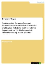 Cover von Fundamentale Untersuchung des weltweiten Rohstoffmarkts anhand der wichtigsten Rohstoffe mit besonderem Augenmerk auf die Risiken und die Preisentwicklung in der Zukunft