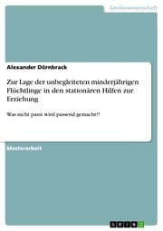 Cover von Zur Lage der unbegleiteten minderjährigen Flüchtlinge in den stationären Hilfen zur Erziehung