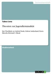 Cover von Theorien zur Jugendkriminalität