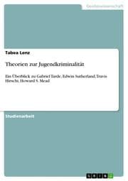 Cover von Theorien zur Jugendkriminalität