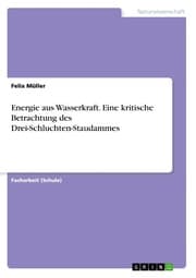 Cover von Energie aus Wasserkraft. Eine kritische Betrachtung des Drei-Schluchten-Staudammes