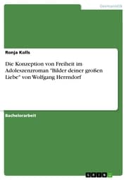 Cover von Die Konzeption von Freiheit im Adoleszenzroman 'Bilder deiner großen Liebe' von Wolfgang Herrndorf