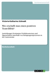 Cover von Wie erschafft man einen positiven Team-Effekt?