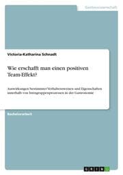 Cover von Wie erschafft man einen positiven Team-Effekt?