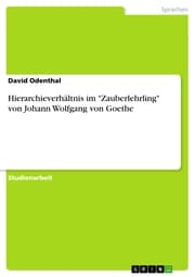 Cover von Hierarchieverhältnis im 'Zauberlehrling' von Johann Wolfgang von Goethe