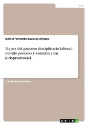 Cover von Etapas del proceso disciplinario laboral: debido proceso y construcción jurisprudencial