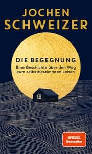 Cover von Die Begegnung