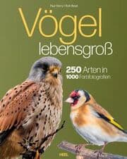 Cover von Vögel lebensgroß