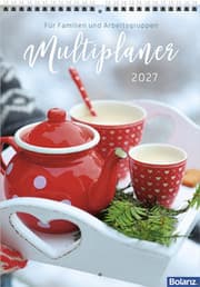 Cover von Multiplaner 2027