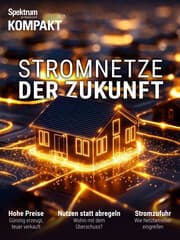 Cover von Spektrum Kompakt - Stromnetze der Zukunft