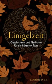 Cover von Einigelzeit