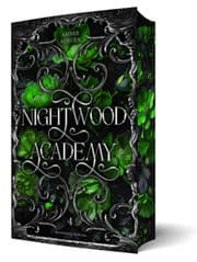 Cover von Nightwood Academy Sammelband 4