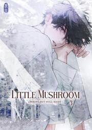 Cover von Little Mushroom - Wrong but still right 3