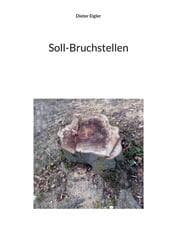 Cover von Soll-Bruchstellen