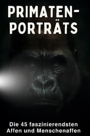 Cover von Primaten-Porträts