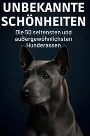 Cover von Unbekannte Schönheiten