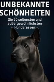 Cover von Unbekannte Schönheiten
