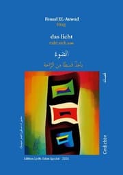 Cover von das licht ruht sich aus