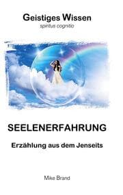 Cover von Seelenerfahrung