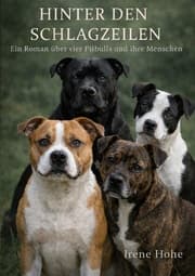 Cover von Hinter den Schlagzeilen