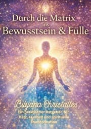Cover von Durch die Matrix ins Bewusstsein & in die Fülle