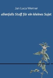 Cover von allenfalls Stoff für ein kleines Sujet