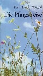 Cover von Die Pfingstreise