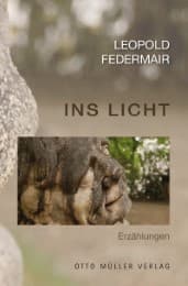 Cover von Ins Licht