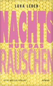 Cover von Nachts nur das Rauschen