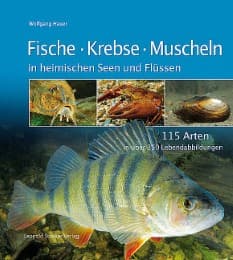 Cover von Fische, Krebse, Muscheln in heimischen Seen und Flüssen