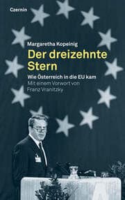 Cover von Der dreizehnte Stern