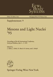 Cover von Mesons and Light Nuclei 95