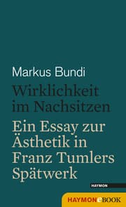 Cover von Wirklichkeit im Nachsitzen