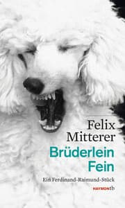 Cover von Brüderlein Fein