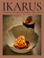 Cover von Ikarus 2